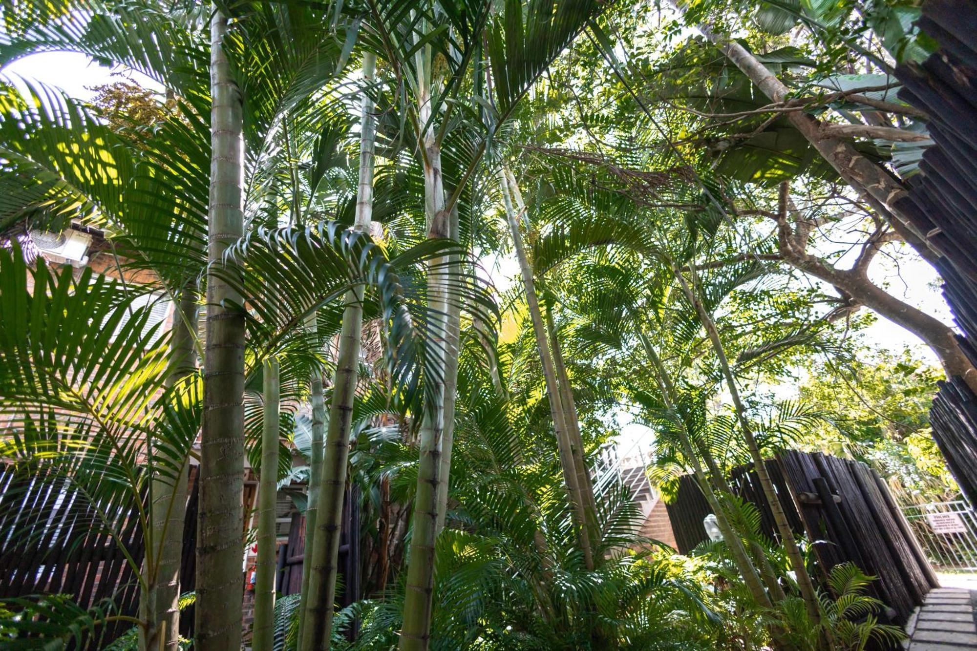 Appartamento Little Eden Saint Lucia Estuary Esterno foto